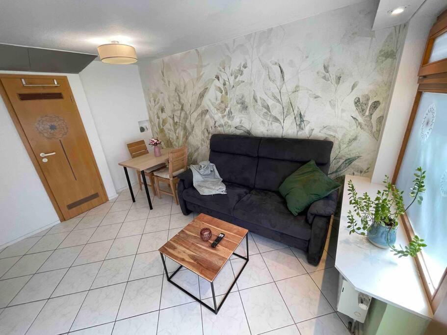 Apartmán Auszeit Am Gehrenberg Markdorf Exteriér fotografie